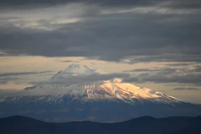 DSC_0110 (Large).JPG